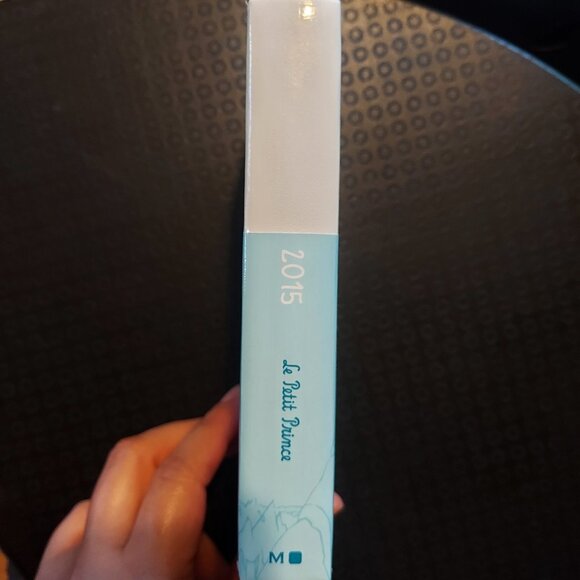 Moleskine Le Petit Prince POCKET 2015 Daily Diary - Little Prince - Picture 4 of 5